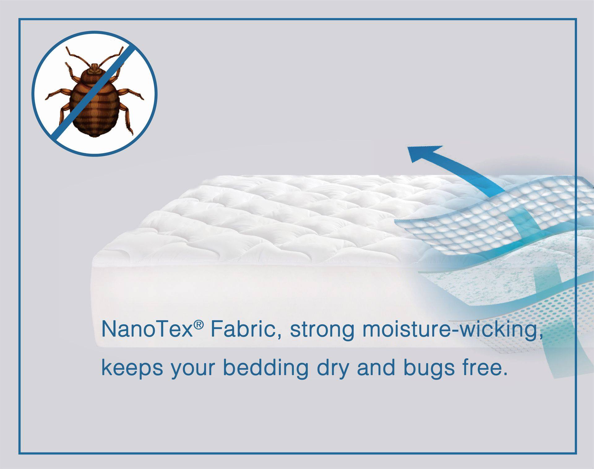 Tired of bedbugs? Scared that you might get them too? Here are some things you need to know to treat and prevent them!