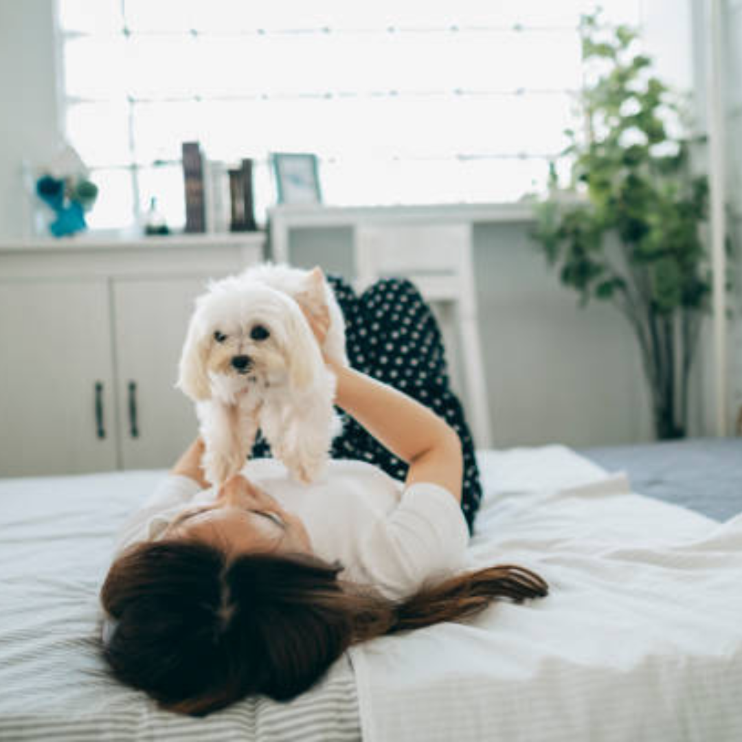 How to Protect Your Mattress If You Enjoy Sleeping with Your Pets?