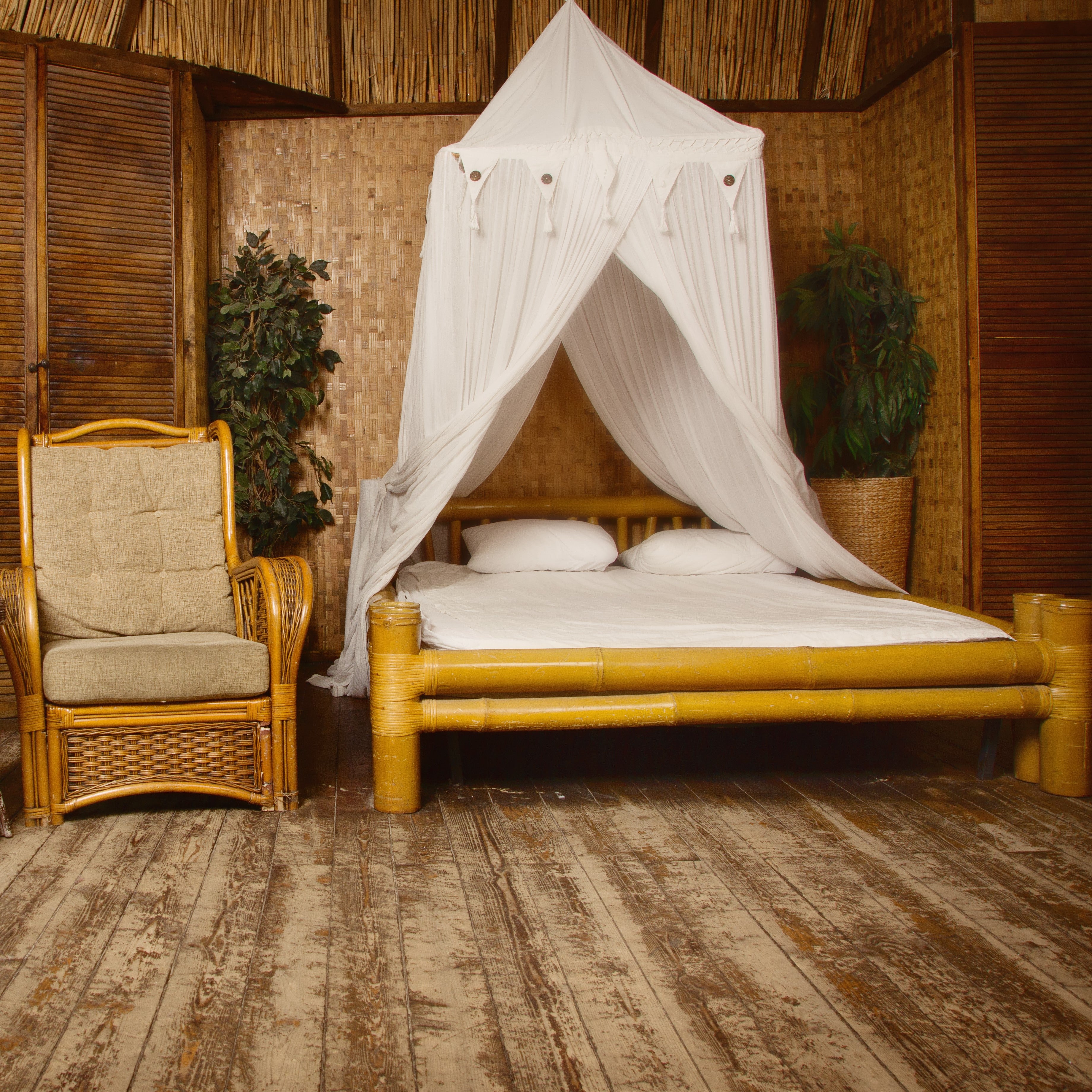 The Evolution of Bedding