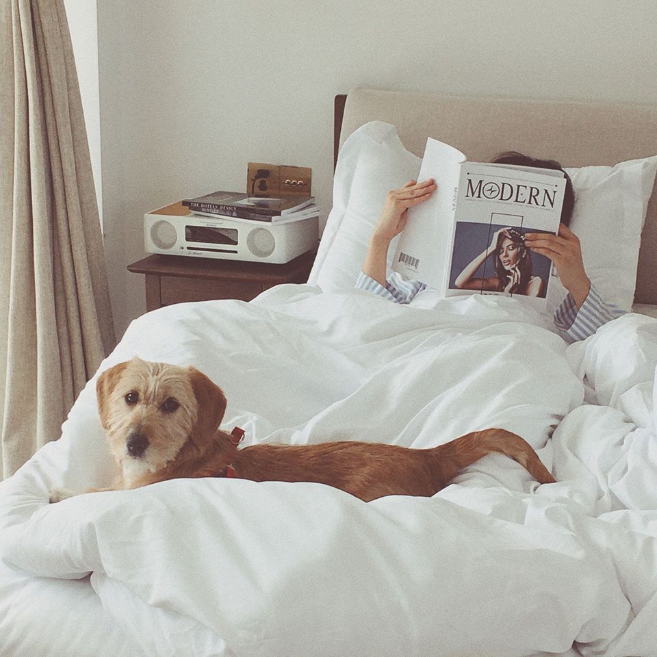 SleepZone,SleepBetter,Bedding,DogOnBed,PuppyDay,ReadInBed