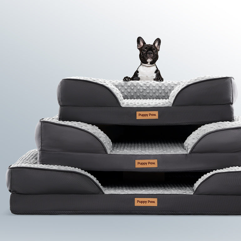 Pet Supplies