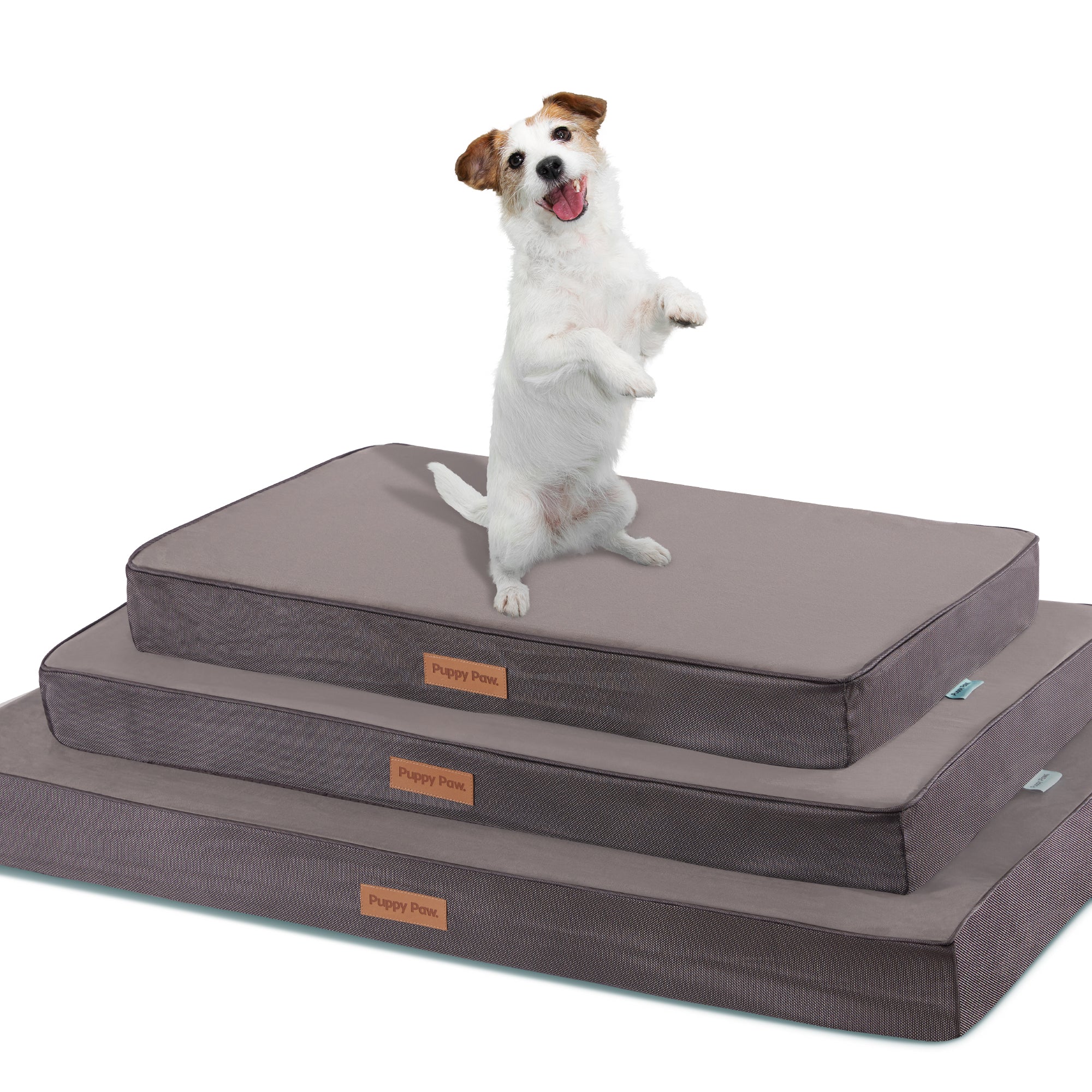 PUPPY PAW Gel Memory Foam Orthopedic Dog Bed.