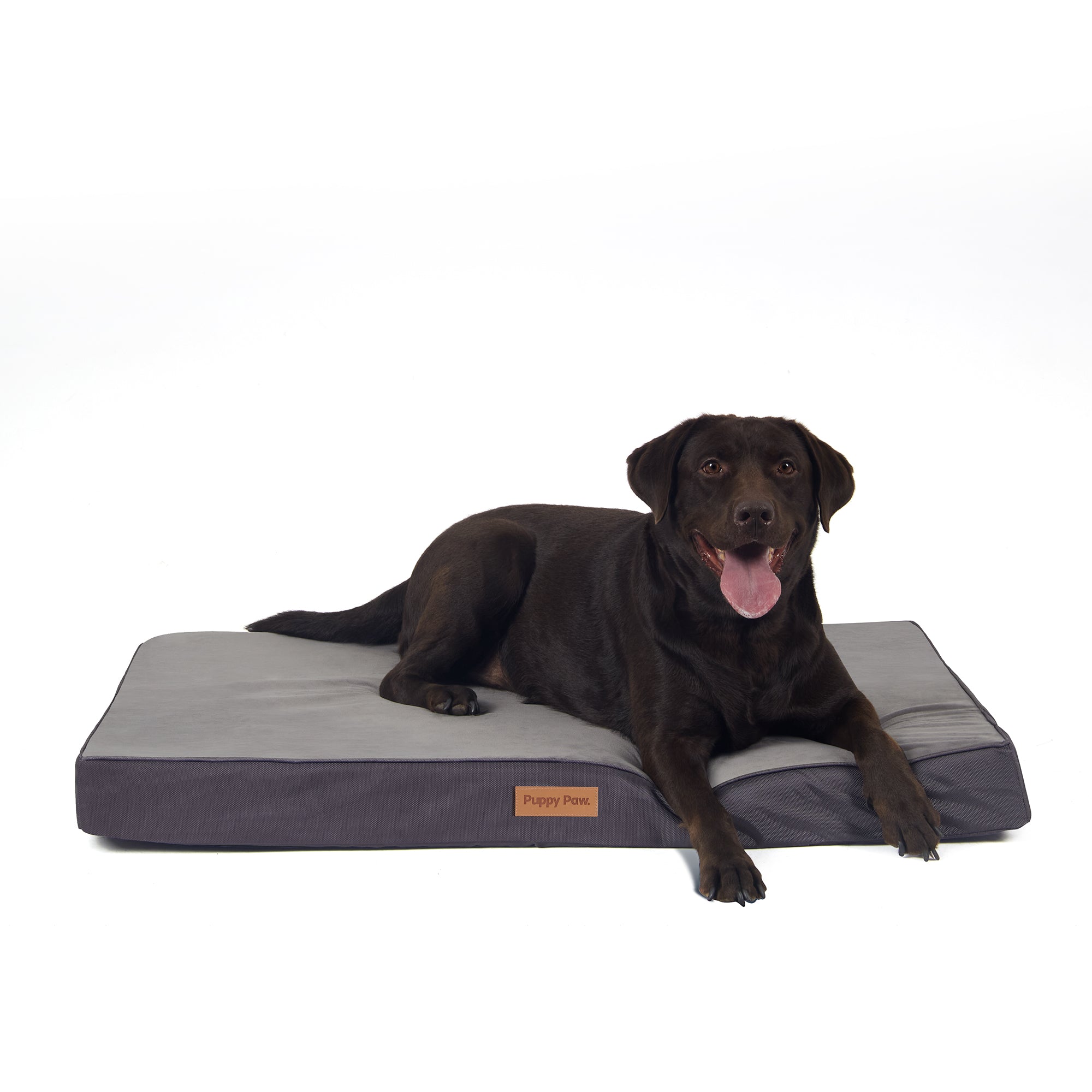 PUPPY PAW Gel Memory Foam Orthopedic Dog Bed.