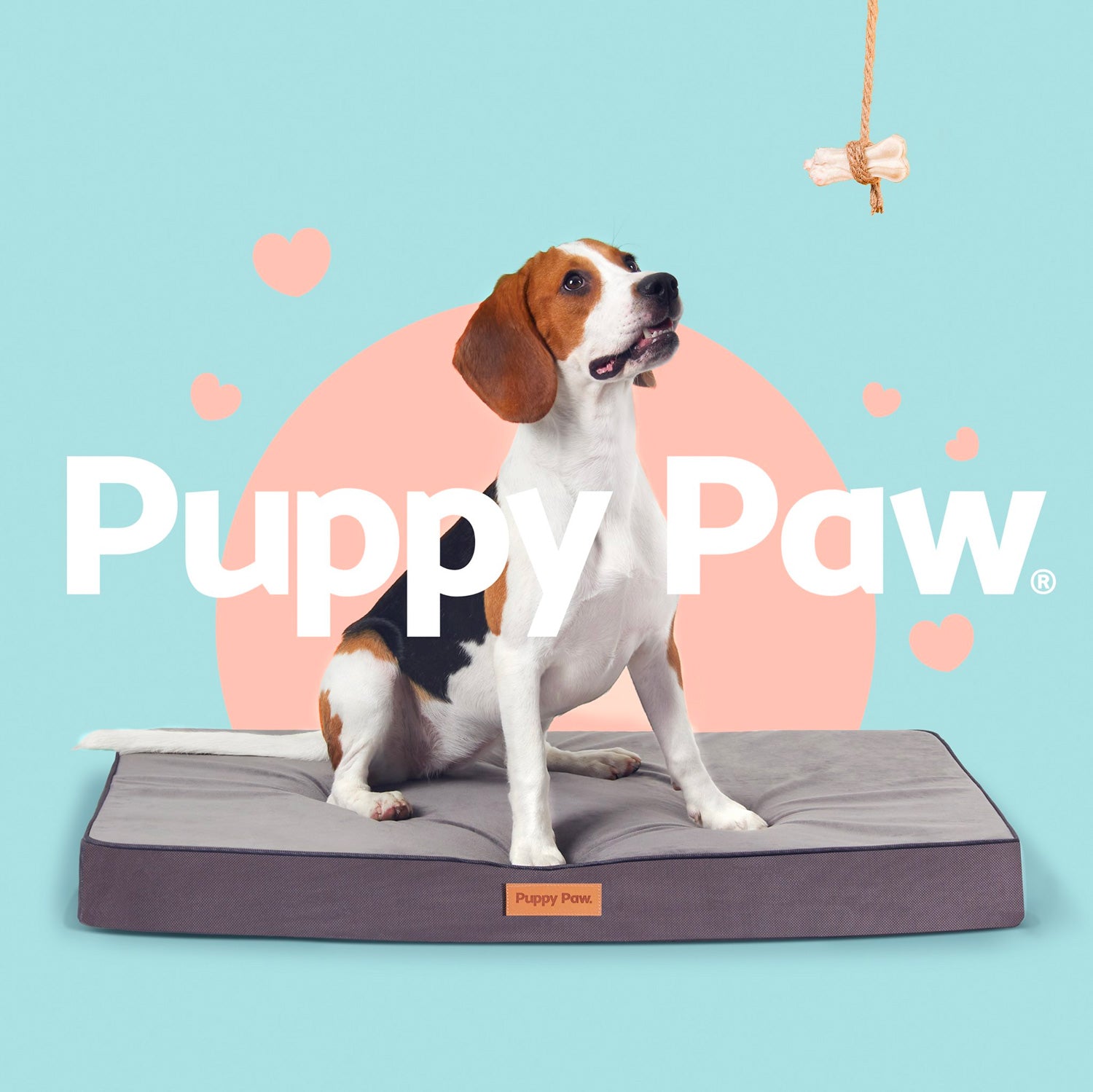 PUPPY PAW Gel Memory Foam Orthopedic Dog Bed.
